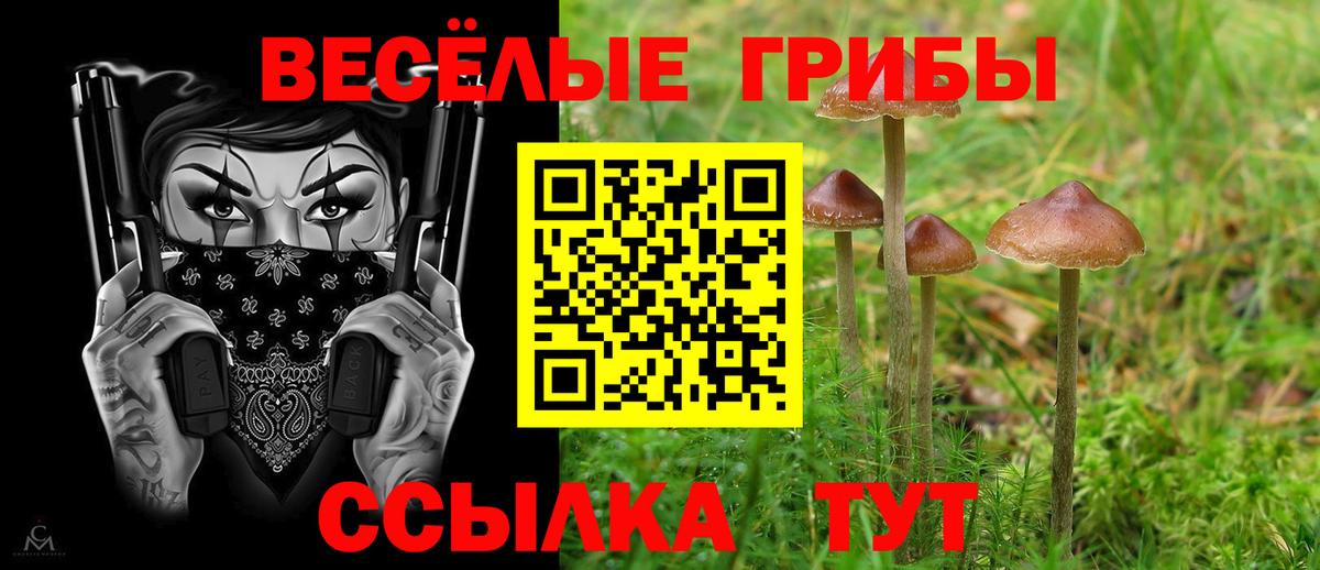 Кольчугино  Псилоцибиновые грибы Cubensis  Вход с VPN 